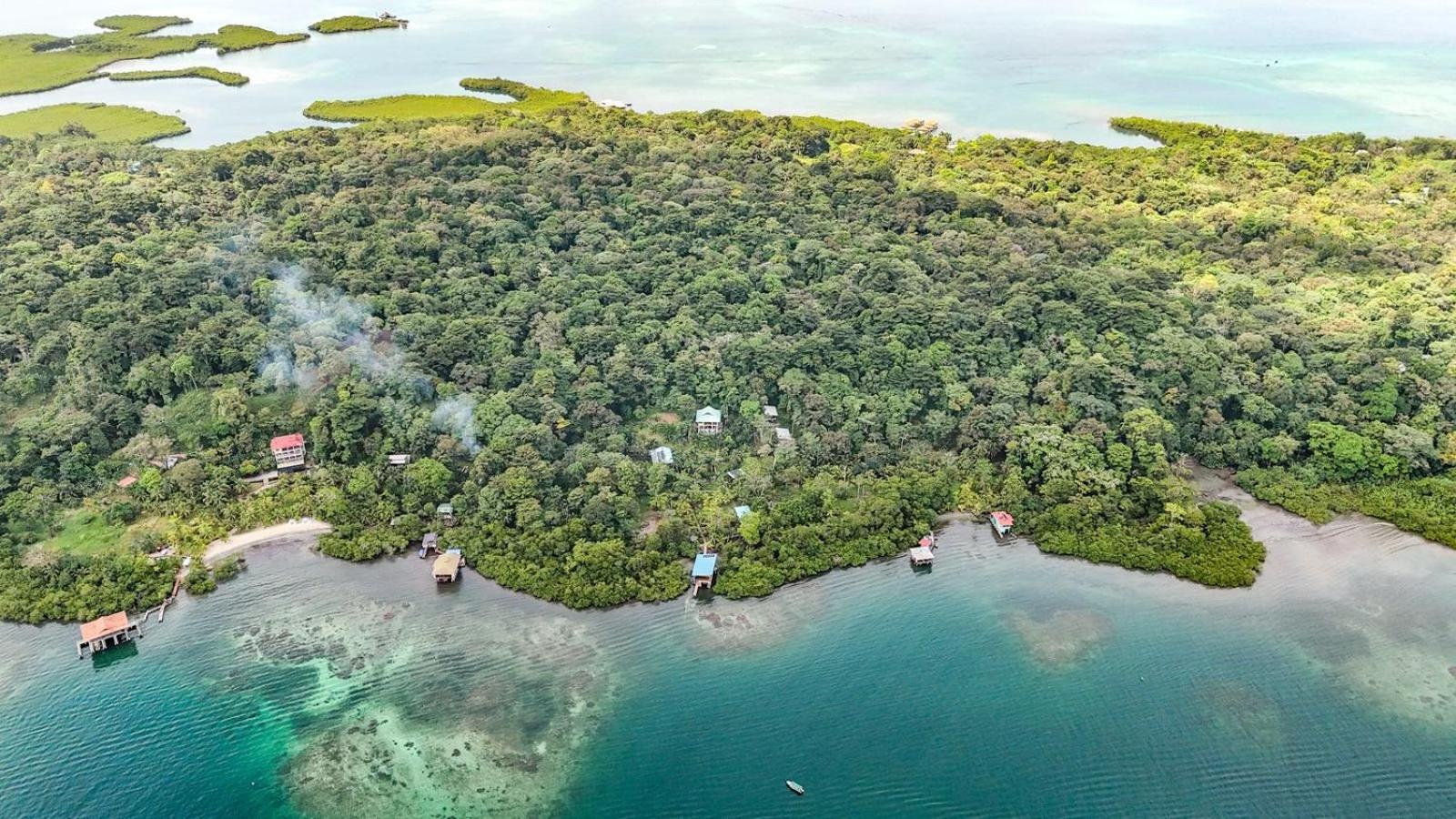 Roam Yoga & Wellness Lodge Bocas del Toro Eksteriør billede