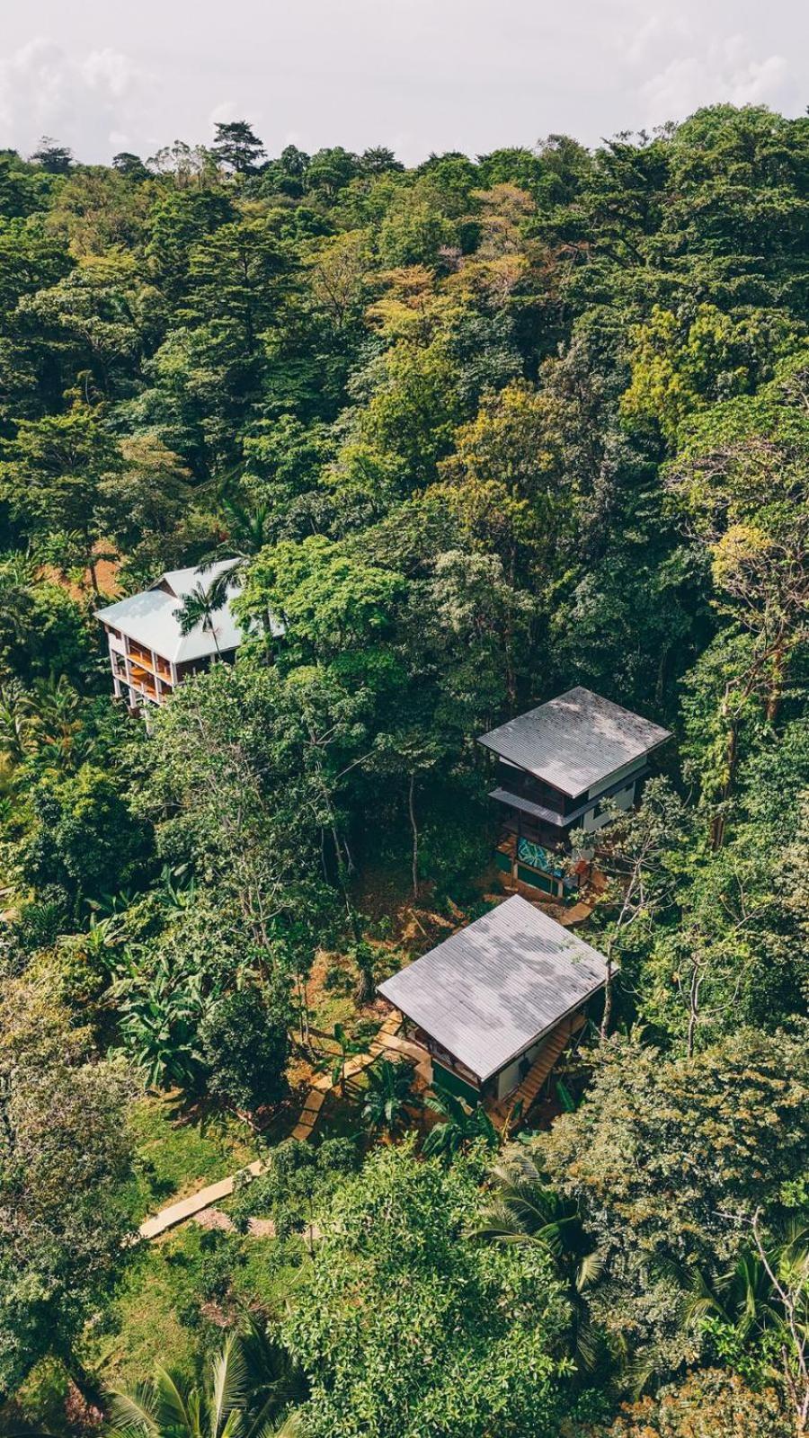 Roam Yoga & Wellness Lodge Bocas del Toro Eksteriør billede